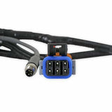 Holley EFI wiring harness pdm-558-191