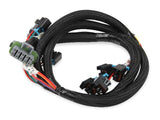 Holley EFI wiring harness truck-558-214