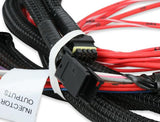 Holley EFI wiring harness harness-558-219
