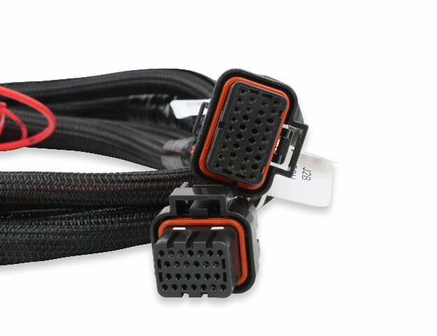Holley EFI wiring harness harness-558-219