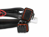 Holley EFI wiring harness harness-558-219