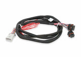 Holley EFI wiring harness harness-558-219