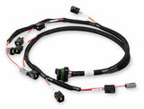 Holley EFI wiring harness harness-558-314