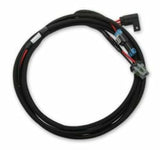 Holley EFI wiring harness