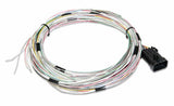 Holley EFI wiring harness harness-558-400