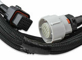 Holley EFI wiring harness harness-558-405