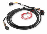 Holley EFI wiring harness coyote-2011-2017-drive-by-wire-harness-558-422