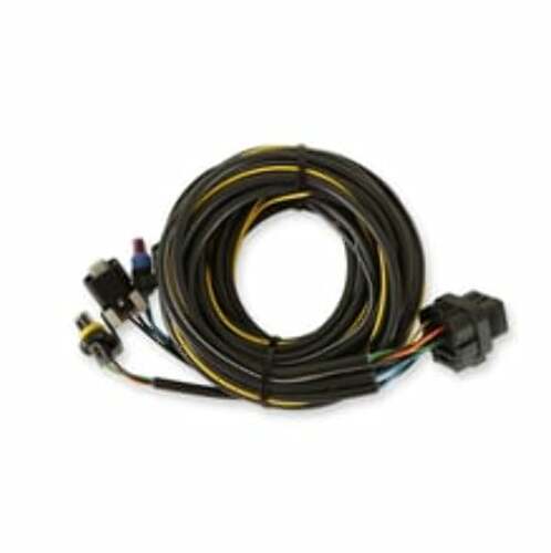 Holley EFI Terminated Vehicle Harness for Digital Dash 558-436