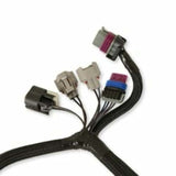 Holley EFI Terminator Throttle Body Harness 558-439