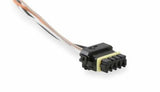 Holley EFI wiring harness harness-12-558-451