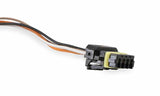 Holley EFI wiring harness