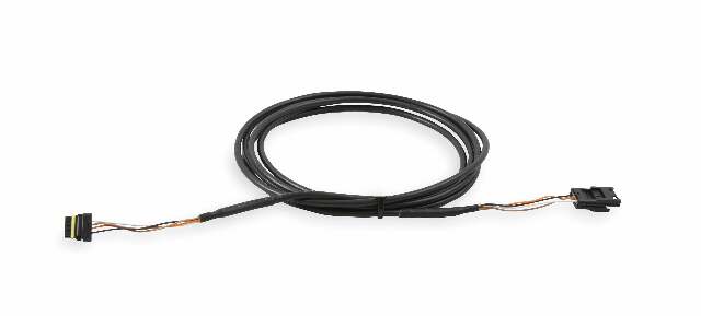 Holley EFI wiring harness harness-12-558-454