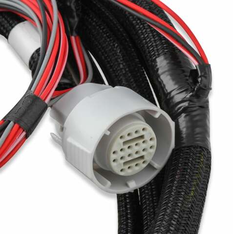Holley EFI wiring harness harness-558-455
