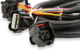 Holley EFI Ford GT500 and 3V Drive-by-Wire Throttle Body Harness - 558-461