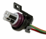 Holley EFI wiring harness harness-558-470