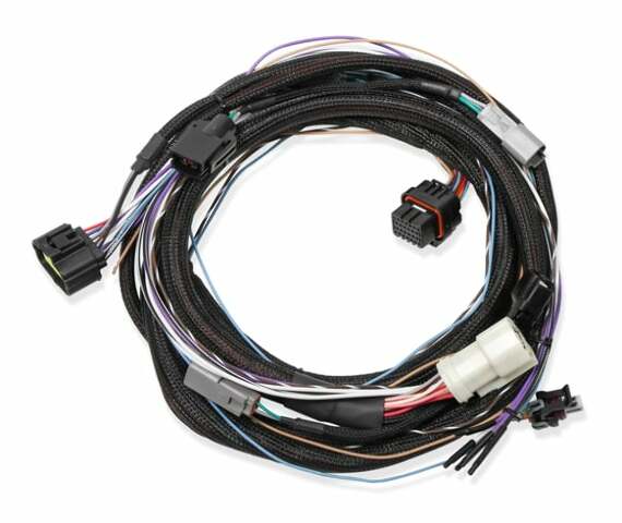 Holley EFI wiring harness harness-558-470