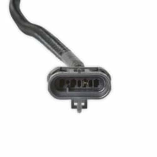 Holley EFI wiring harness harness-558-476