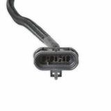 Holley EFI wiring harness harness-558-476