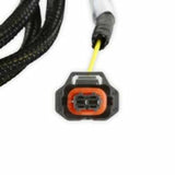 Holley EFI wiring harness harness-558-476