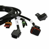 Holley EFI wiring harness t-56-magnum-558-480