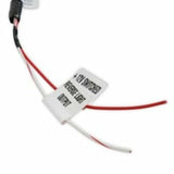 Holley EFI wiring harness t-56-558-481