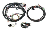Holley EFI wiring harness kit-558-508