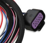 DIS, Direct Ignition System Ignition Control - 6015MSD