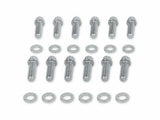 Mr. Gasket intake manifold bolt set Chevy zinc 6091
