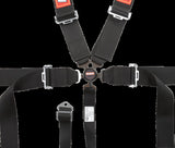 Sfi Camlock 5Pt Pd Lap Seat Belts Blk - 741001RQP