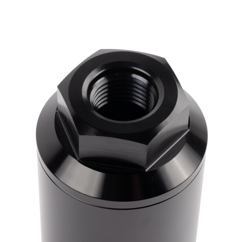 AEM fuel filter 10 micron 25-207