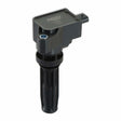 MSD ignition coil for 2019-2022 Ford black red 82597