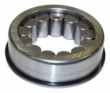 Jeep Metal Cluster Gear Bearing - 83506080