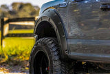 Fits Ford F-150 2&4WD (2015-2020) Fender Flares Defender H5 Caribou A-F11811-H5