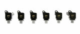Ignition Coil for 2017-2020 Ford F-150 V6 black