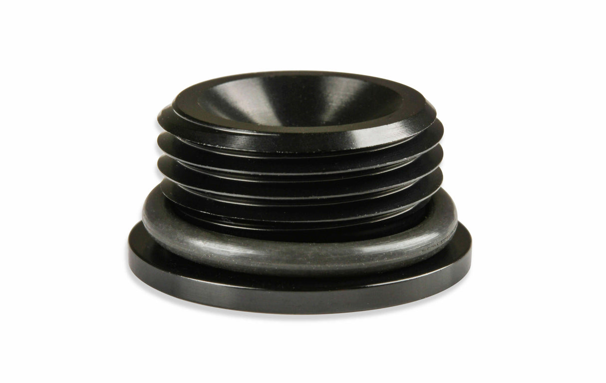 Earls AN Port Plug - Allen Head - AT981310ERL