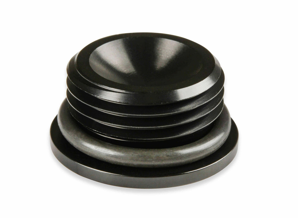 Earls AN Port Plug - Allen Head - AT981310ERL