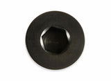 Earls AN Port Plug - Allen Head - AT981310ERL