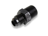 Earls Straight Male AN -6 to 1/2 NPT - AT981668ERL