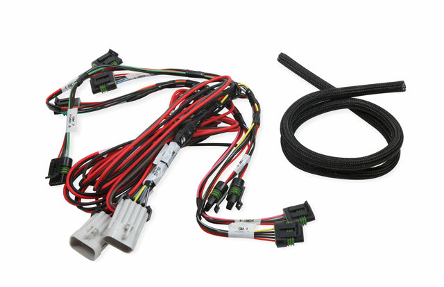 Holley EFI wiring harness harness-558-318