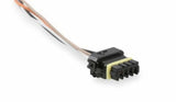 Holley EFI wiring harness harness-12-558-451
