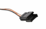 Holley EFI wiring harness