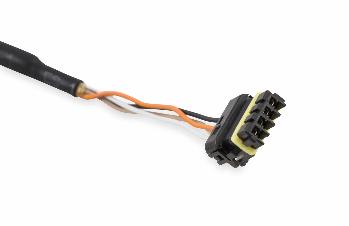 Holley EFI wiring harness