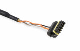 Holley EFI wiring harness