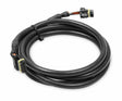 Holley EFI wiring harness