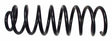 Jeep Metal Black Coil Spring - 52001125