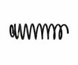 Jeep Metal Black Coil Spring - 52088104