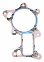 Jeep Paper Blue Water Pump Gasket - 4666068AC
