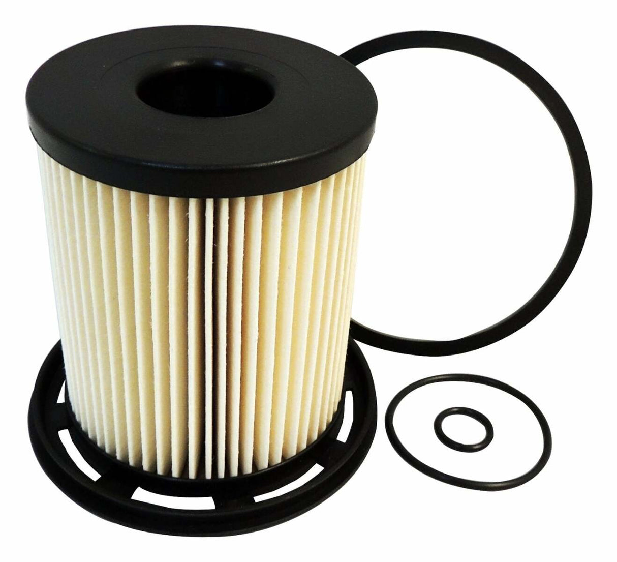 Jeep Plastic Black Fuel Filter - 4883963AB