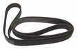 Jeep Rubber Black Accessory Drive Belt - 53002900