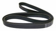 Jeep Rubber Black Accessory Drive Belt - 53010277